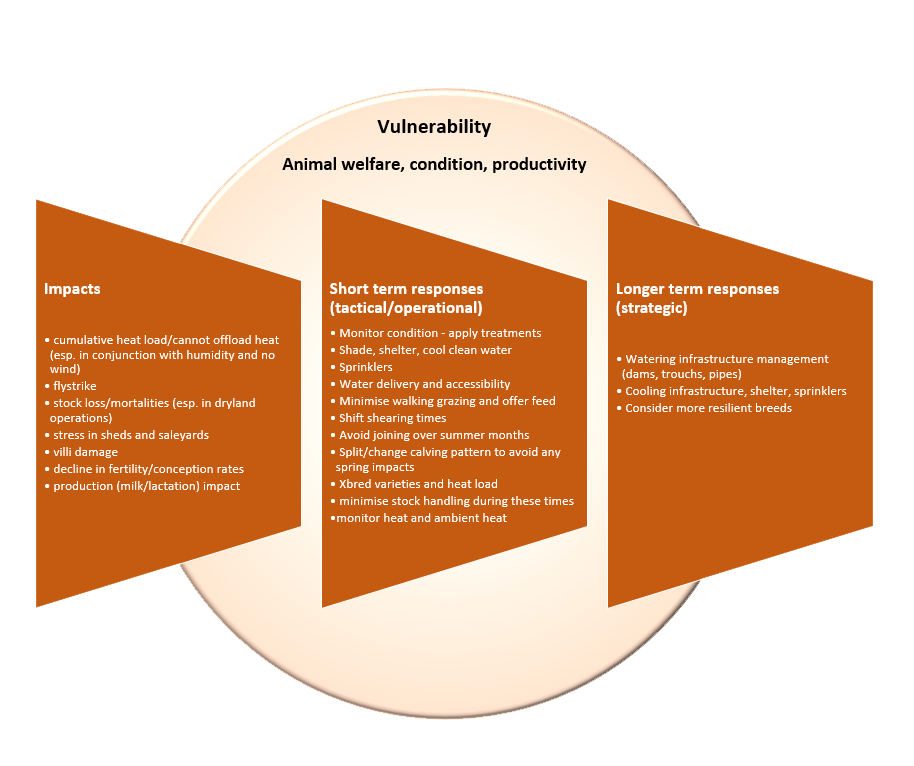 Vulnerability - Animal Welfare, condition, productivity